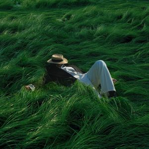 3D殴美人被宠物搞到高潮
